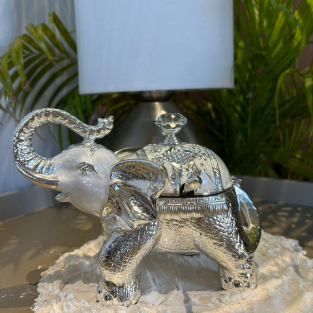 SS ELEPHANT DRY FRUIT''