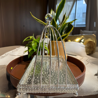 SS RECTANGLE TRAY CRYSTAL''