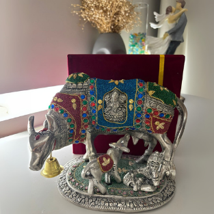 KAMDENU COLOR BIG BOX''